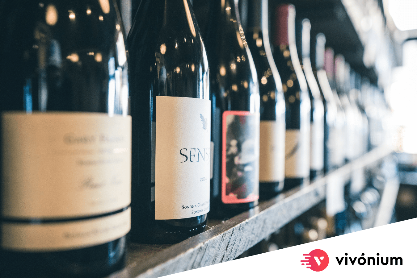 Leer las etiquetas de los vinos
