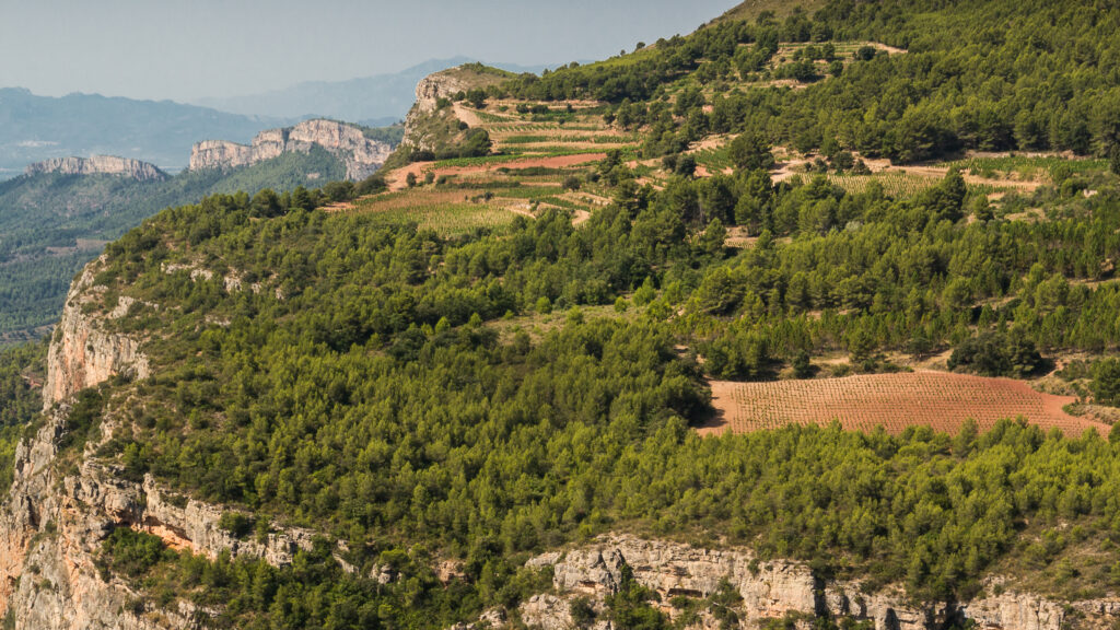 Enoturismo priorat